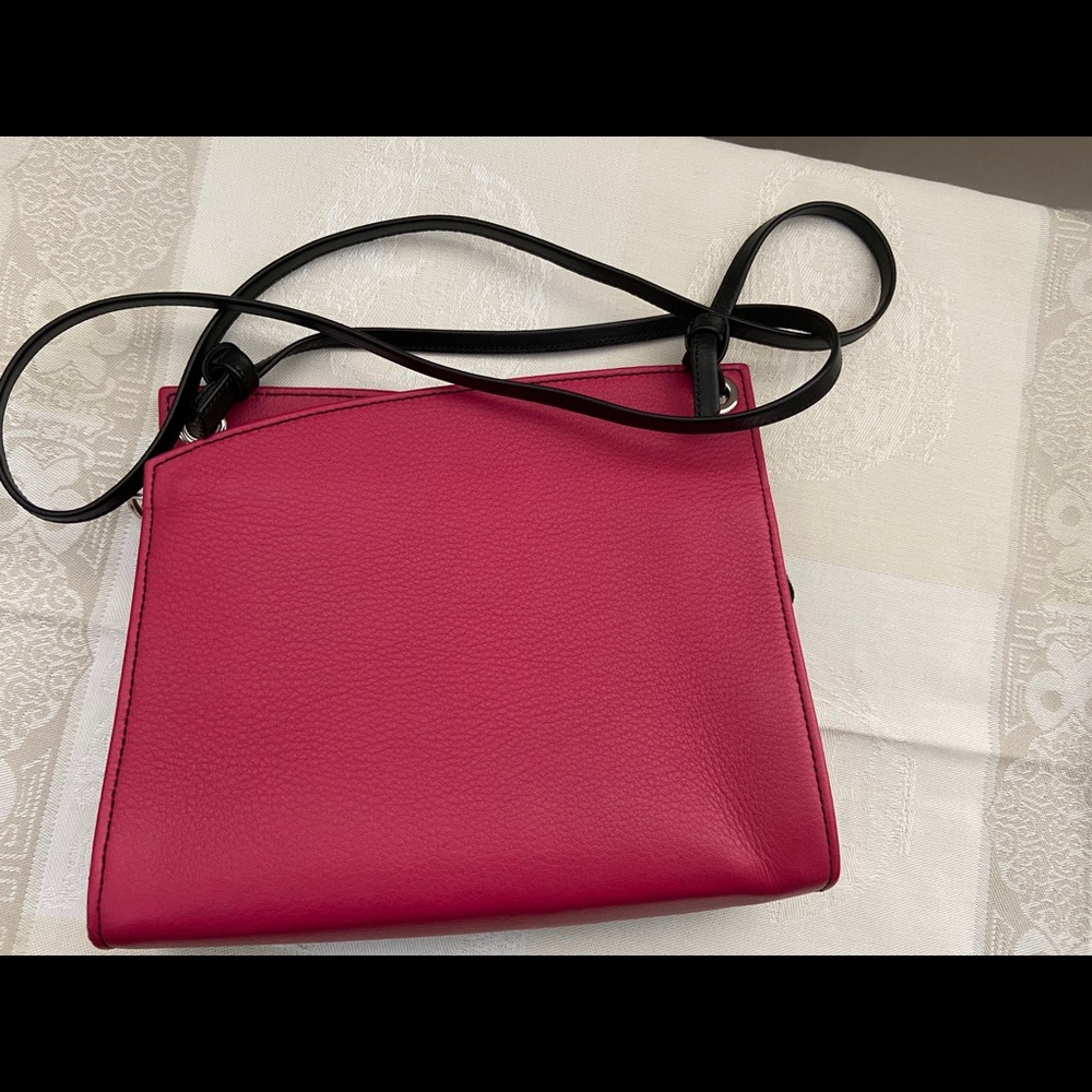 Hester van Eeghen leather mini bag